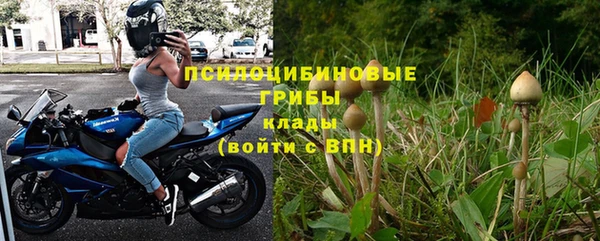 дживик Алексин