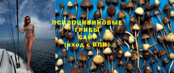 не бодяженный Алзамай