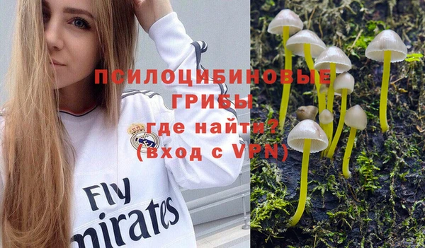 дживик Алексин